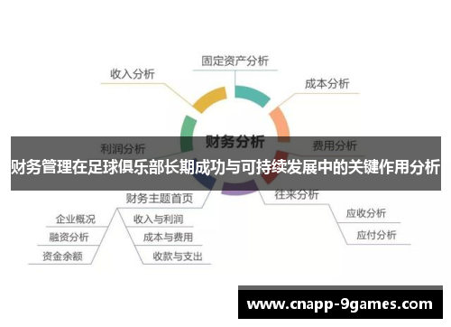 财务管理在足球俱乐部长期成功与可持续发展中的关键作用分析 财务管理在足球俱乐部长期成功与可持续发展中的关键作用分析
